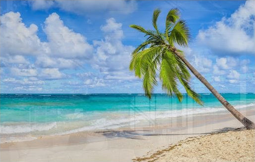 Holiday