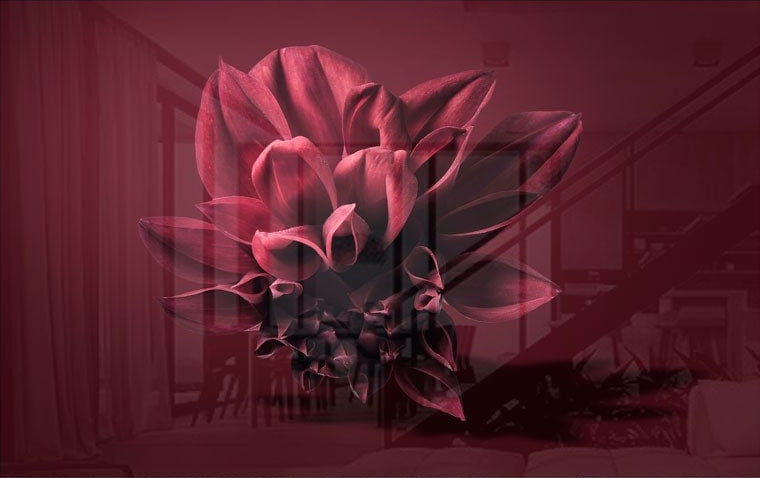Artronauts Art Glass Print Dahlia Flower II