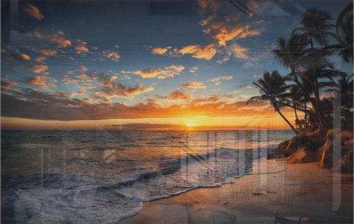 Palm Trees