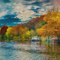 Artronauts Art Clearance T. The Lake II