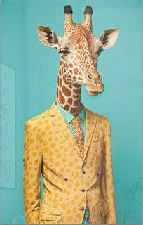 Cool Giraffe