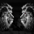 Artronauts Glass Print Double Lion