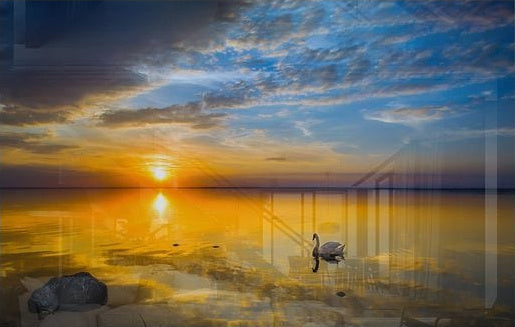 Sunset III