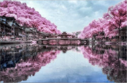 Artronauts Art Glass Print Pink Landscape