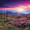 A Peaceful Place
