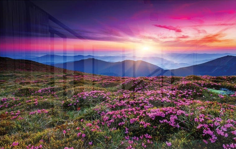A Peaceful Place
