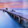 Artronauts Art Clearance T. The Pier III