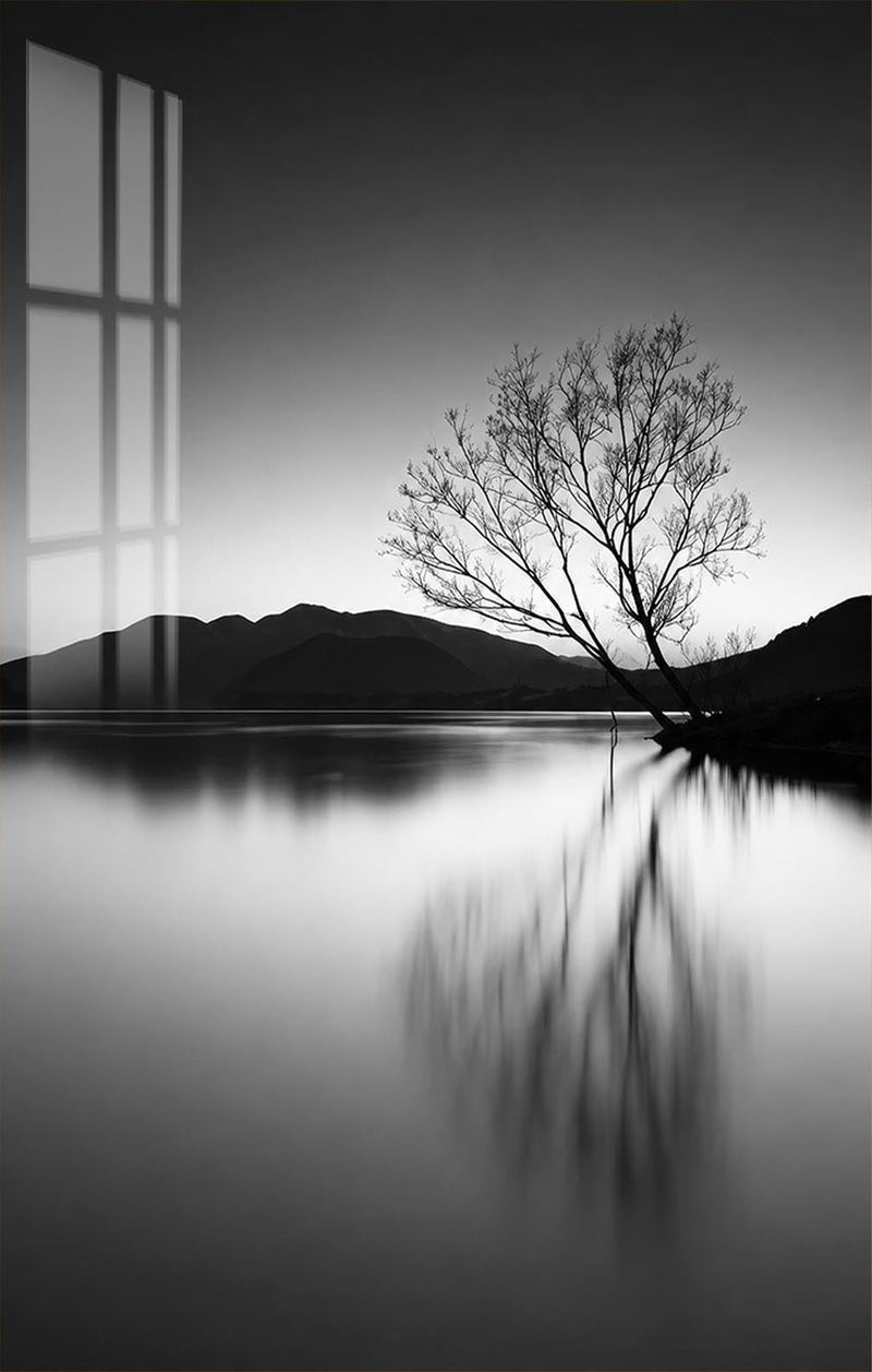 Lone Tree Reflection Glass Wall Art
