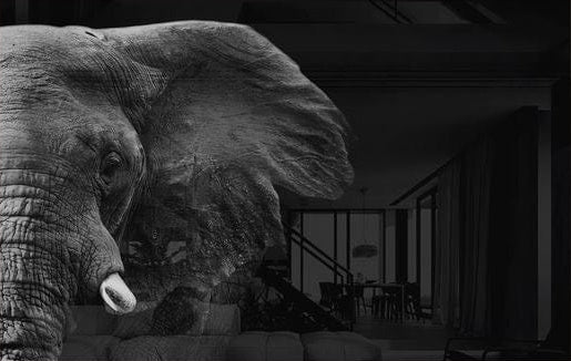 Artronauts Glass Print Elephant