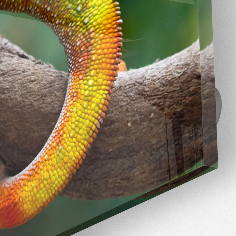 Artronauts Art Clearance T. Chameleon II
