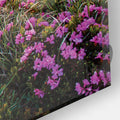Artronauts Glass Print A Peaceful Place