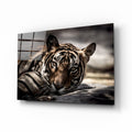 Artronauts Art Clearance T. The Tiger