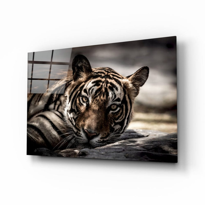 Artronauts Art Clearance T. The Tiger