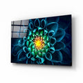 Artronauts Art Clearance T. Dahlia Flower