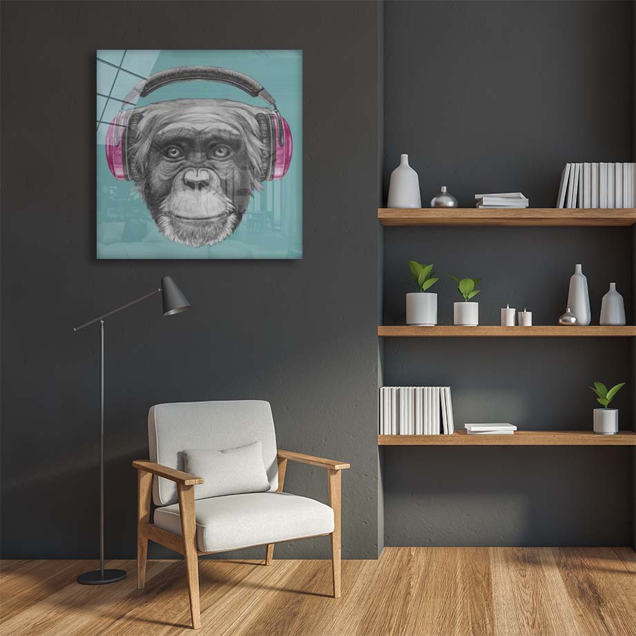 Monkey with Headphone