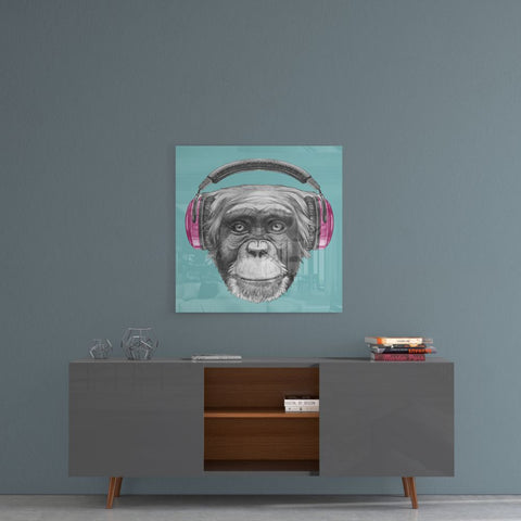 Monkey with Headphone