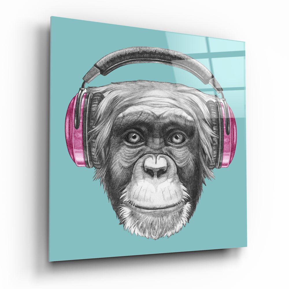 Monkey with Headphone