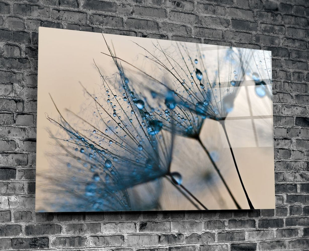 Artronauts Glass Print The Dandelion