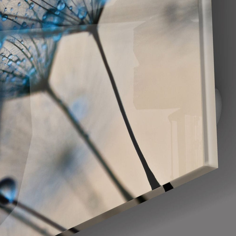 Artronauts Glass Print The Dandelion