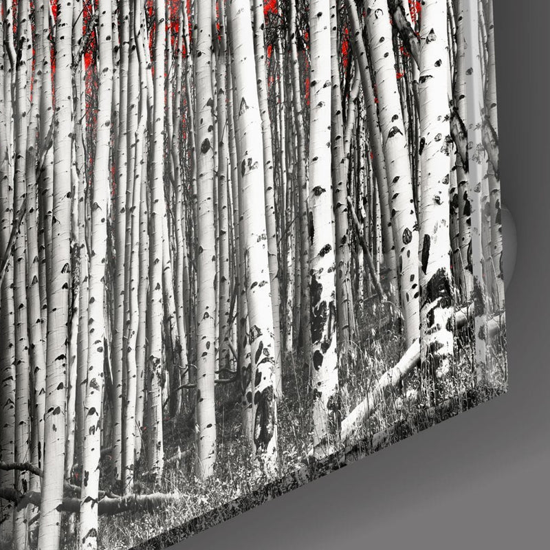 Artronauts Art Clearance T. Red Forest