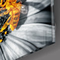 Artronauts Art Clearance T. Honey Bee