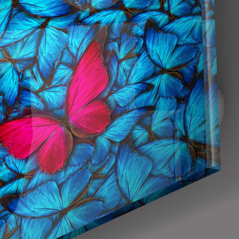 Artronauts Art Glass Print Butterflies