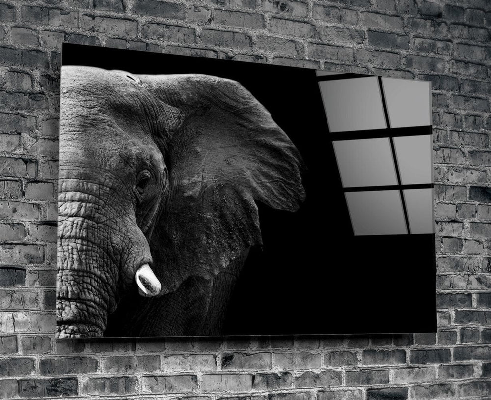 Artronauts Glass Print Elephant