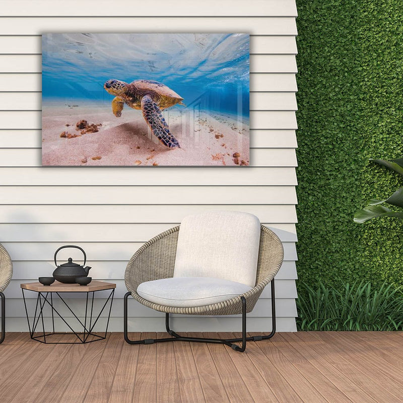 Artronauts Art Clearance T. Sea Turtle