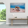 Artronauts Art Clearance T. Sea Turtle