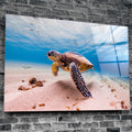 Artronauts Art Clearance T. Sea Turtle
