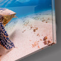 Artronauts Art Clearance T. Sea Turtle