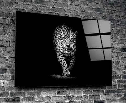 Leopard Black & White