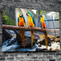 Artronauts Clearance T. Parrots