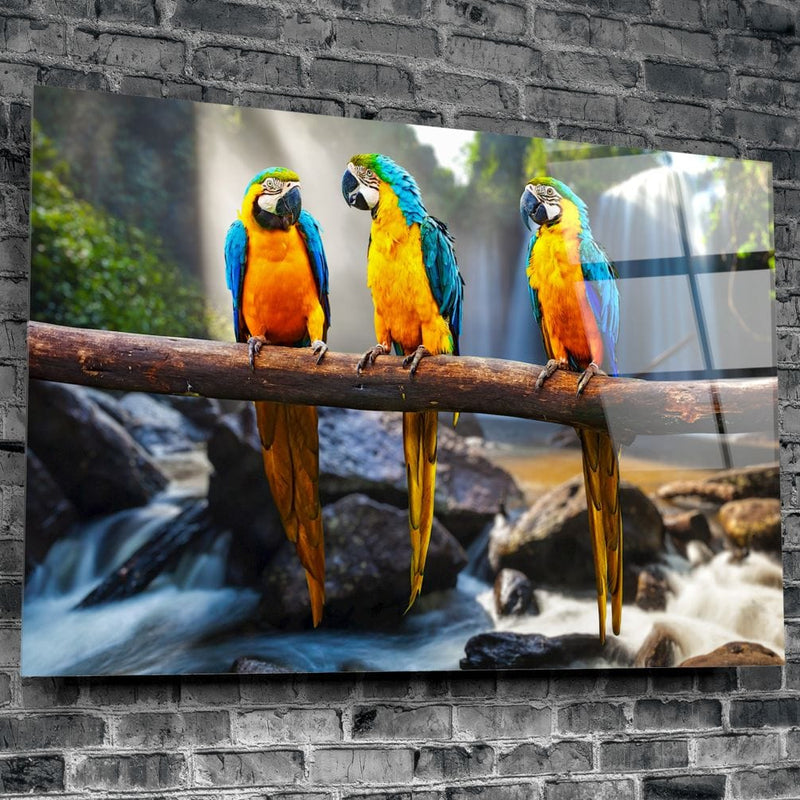 Artronauts Clearance T. Parrots