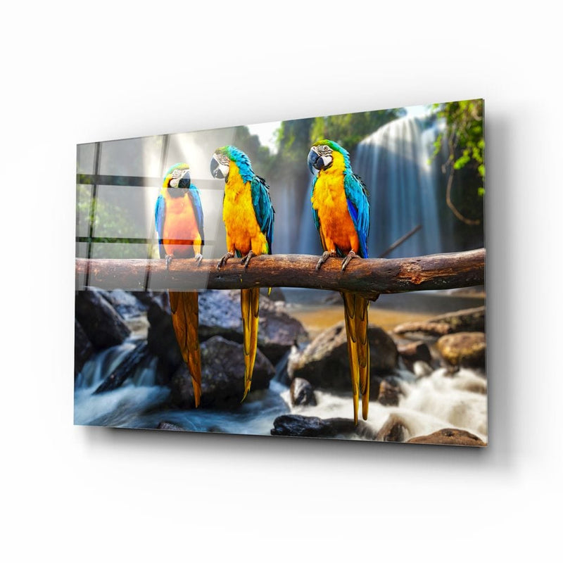 Artronauts Clearance T. Parrots