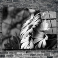 Artronauts Art Clearance T. Black - White Flower