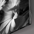 Artronauts Art Clearance T. Black - White Flower
