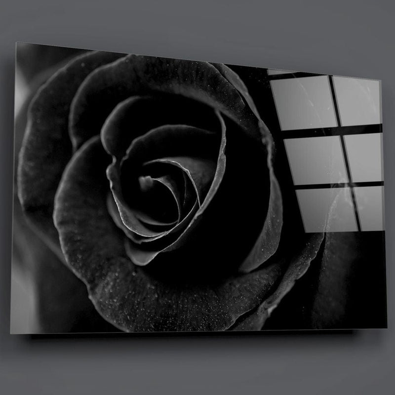 Artronauts Clearance T. Black Rose
