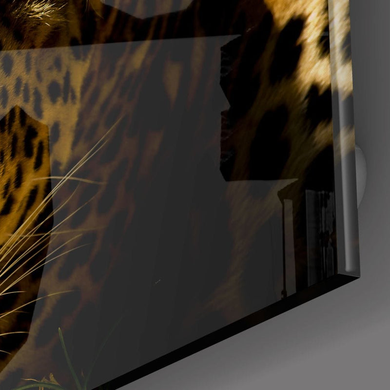 Artronauts Glass Print The Leopard