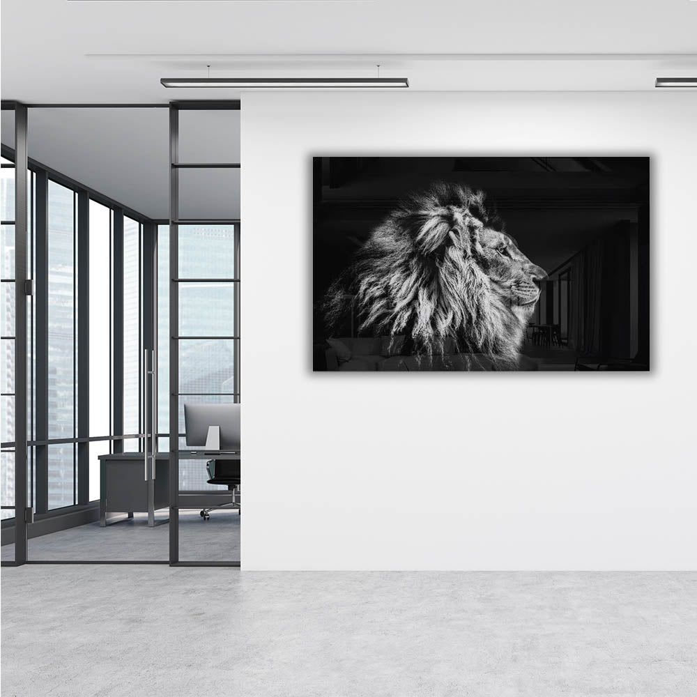 Lion Black&White