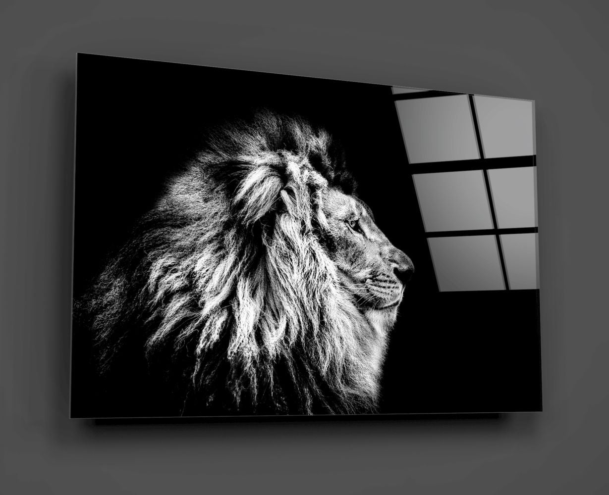 Lion Black&White