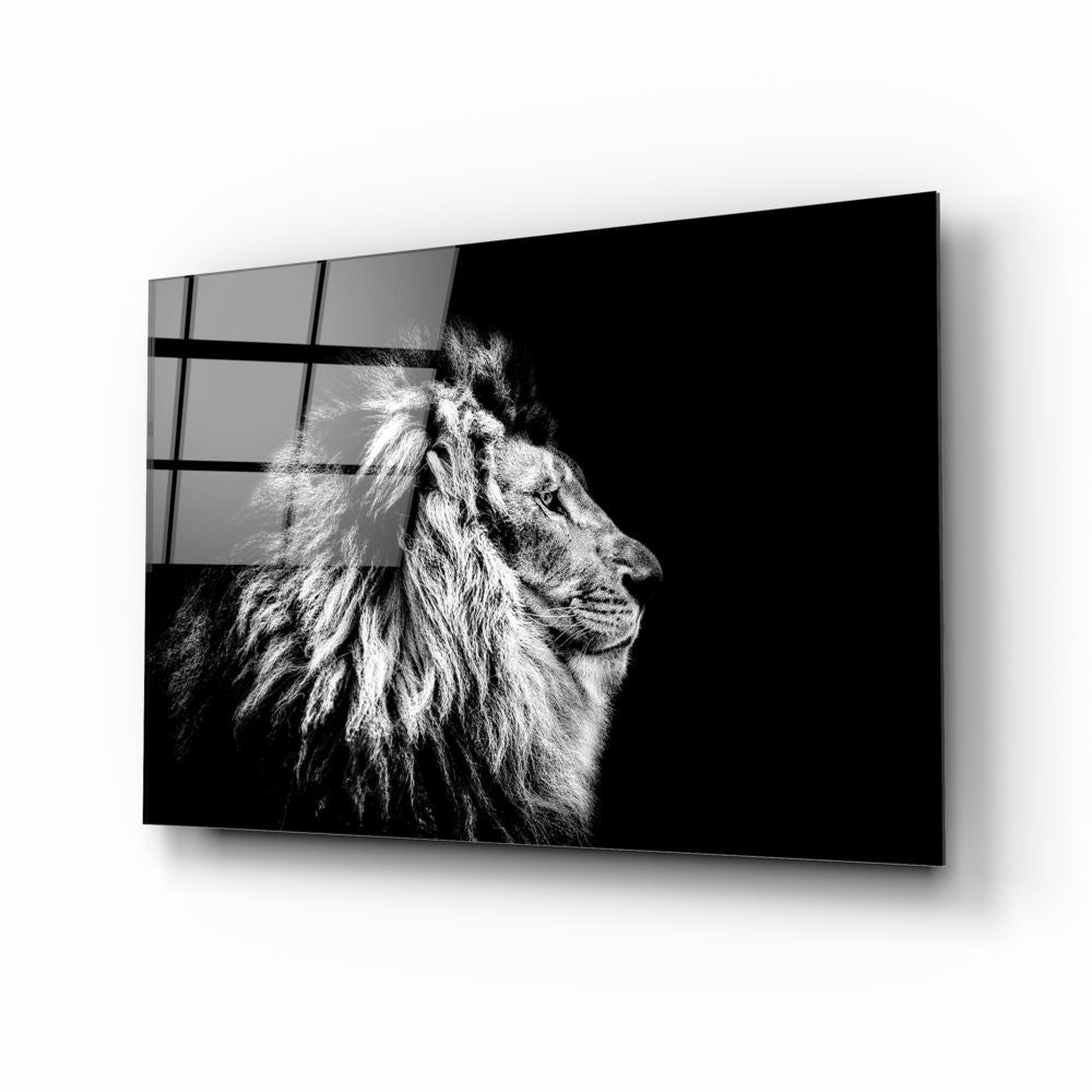 Lion Black&White