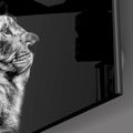 Artronauts Art Clearance T. Lion Black&White