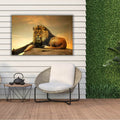 Artronauts Art Glass Print Lion King