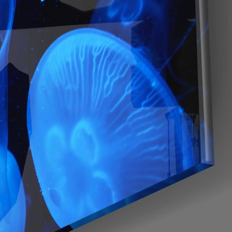 Artronauts Art Clearance T. Jellyfish
